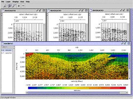 BHP Billiton Petroleum needed an integrated geological and geophysical viewer