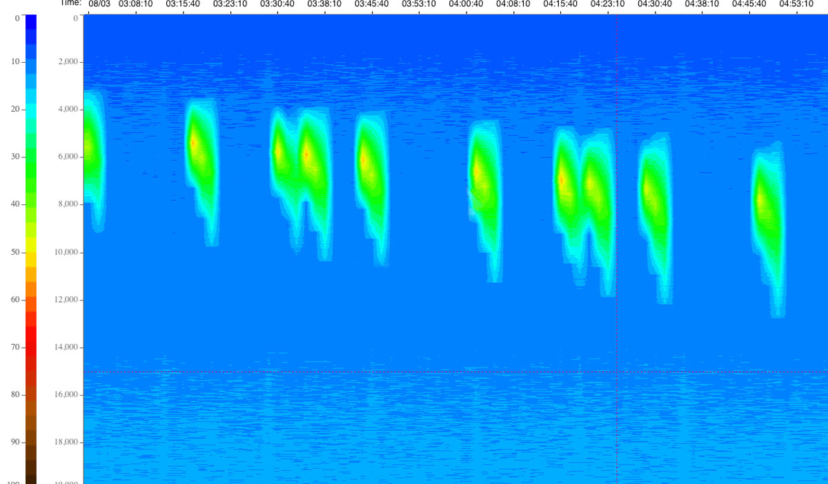 seismic real time